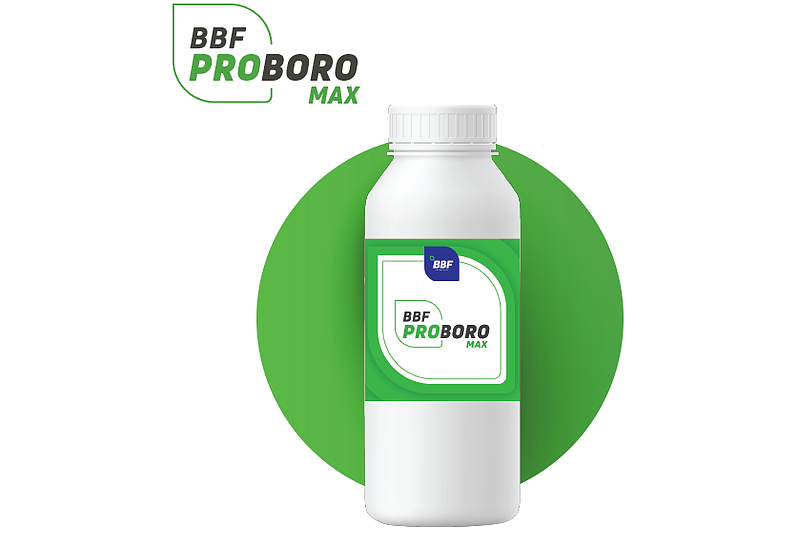 PROBORO MAX – BBF