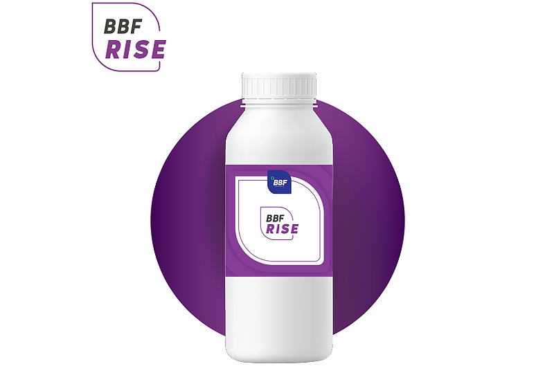 RISE – BBF